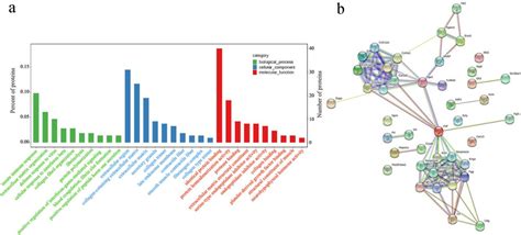 Figure 4 From TMT Based Quantitative Proteomics Reveals Cochlear