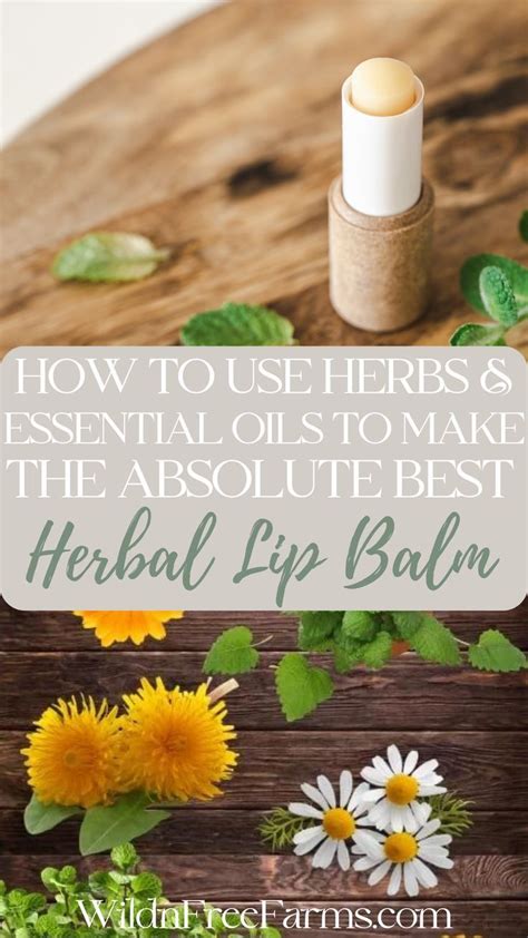 Lemon Balm Lip Balm For Cold Sores Artofit