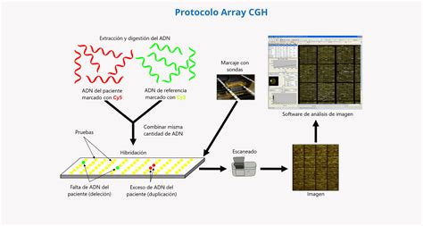 Array CHG en la práctica clínica Genosalut