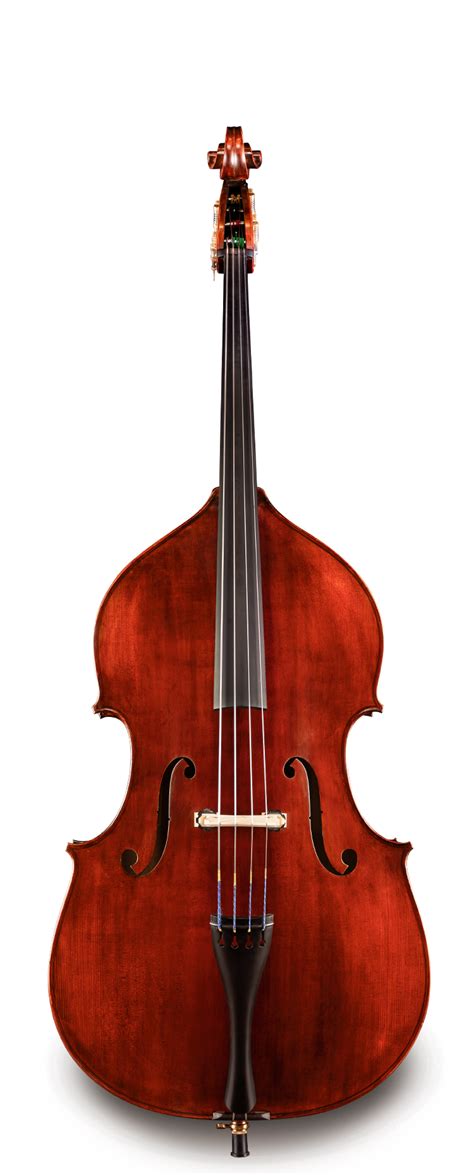 Eastman Bass Performance