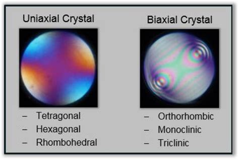 Figure 1 from Polarized light microscopy | Semantic Scholar