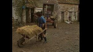 Watch VM378 Hairy Stockings Vintage Porn SpankBang