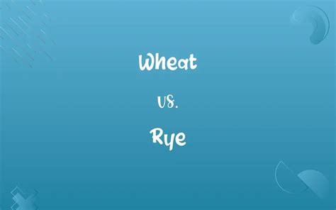 Wheat vs. Rye: Know the Difference