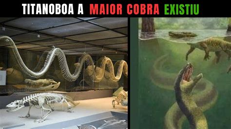 Titanoboa A Maior Cobra Que Existiu YouTube