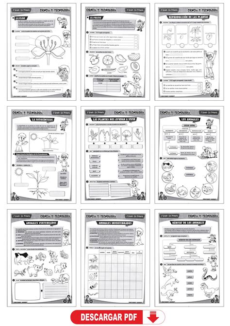 Cuaderno de Ciencia y Tecnología 2º grado primaria II PARTE