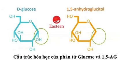 e Hóa Trị Là Gì Giải Thích Chi Tiết Về Electron Hóa Trị và Ứng Dụng