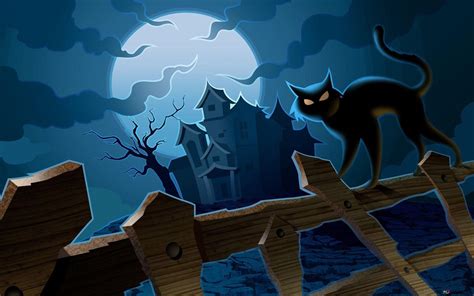 Black cat on halloween full moon HD wallpaper download