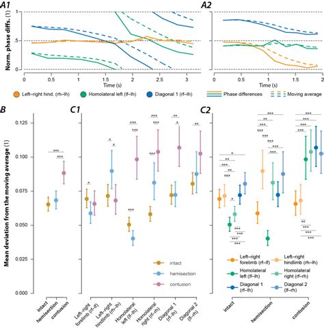 Variability Of Interlimb Coordination In Intact Rats And After