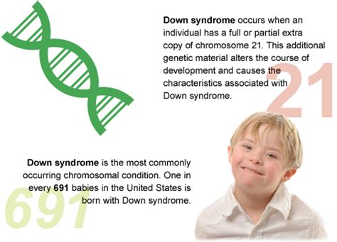 Download Down Syndrome Facts Facts About Down Syndrome Full Size