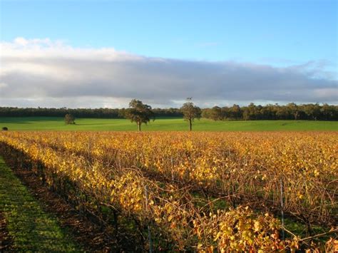 Blackwood Valley Wine Region In Western Australia