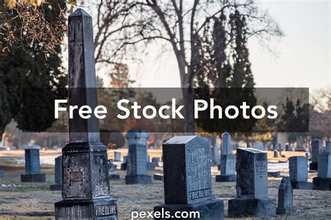 Tomb Sweeping Day Photos, Download The BEST Free Tomb Sweeping Day Stock Photos & HD Images