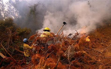 Declaran Alerta Amarilla En La Provincia De Arauco Por Incendios