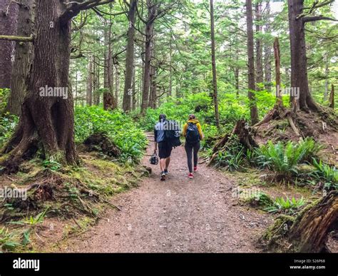 Hiking In The Forest Second Beach La Push Olympic National Park