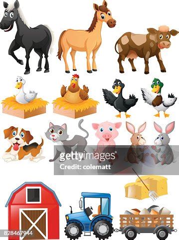 Farm Animals With Barn And Tractor High-Res Vector Graphic - Getty Images