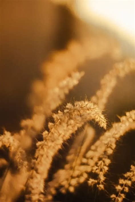 9 Sneaky Ways Racism Lurks in Everyday Life - ubuntuvillageusa