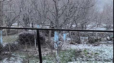 Sogra Brasileira Search Xvideos