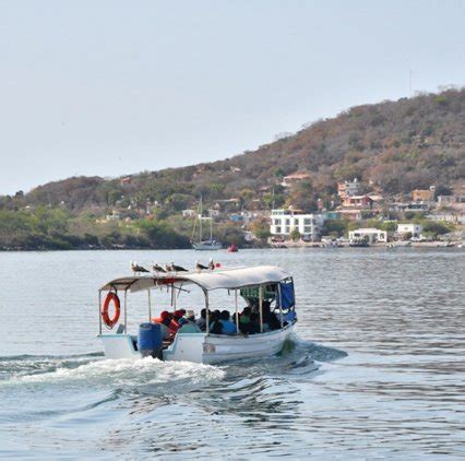 Conoce La Isla De La Piedra En Mazatl N Hoteles Palace