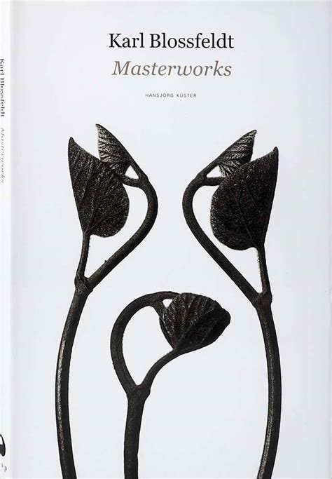 Karl Blossfeldt Masterworks An Artbook Review 40 Off