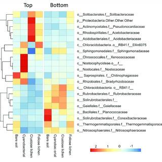 Mean Relative Abundance Of The Most Dominant Microbial Families