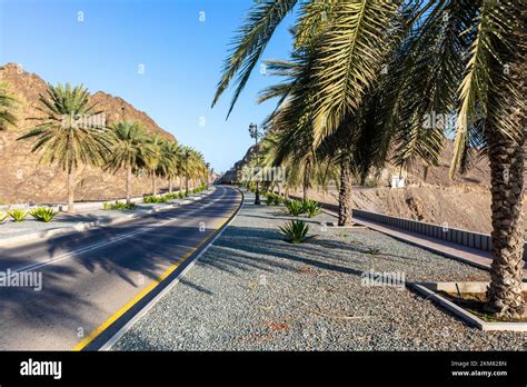 Road With Palm Trees Traditional Omani Architecture Old Town Of