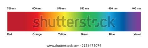 Scientific Designing Electromagnetic Waves Spectrum Light Stock Vector ... 