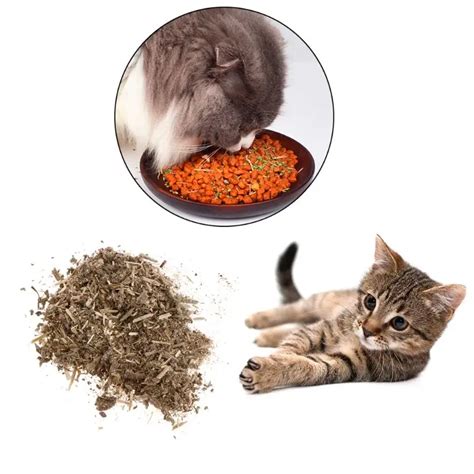 Cat Mint Pet Training Toy Natural Organic Premium Catnip Cat Mint