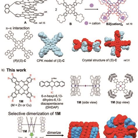 A Previous Examples Of Cofacially Stacked Pc Dimers Bound By Covalent