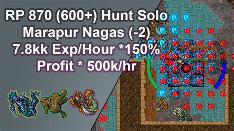 Tibia Royal Paladin 870 600 Solo Hunt Marapur Nagas 278kkhr