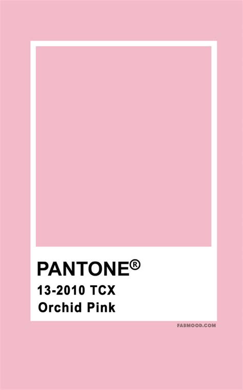 Pantone Color Orchid