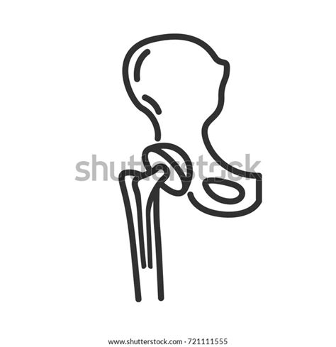 Categoría Hip Replacement Icon De Fotos E Imágenes Shutterstock