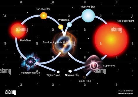 Diagram Of The Life Cycle Of Stars Stock Photo Alamy