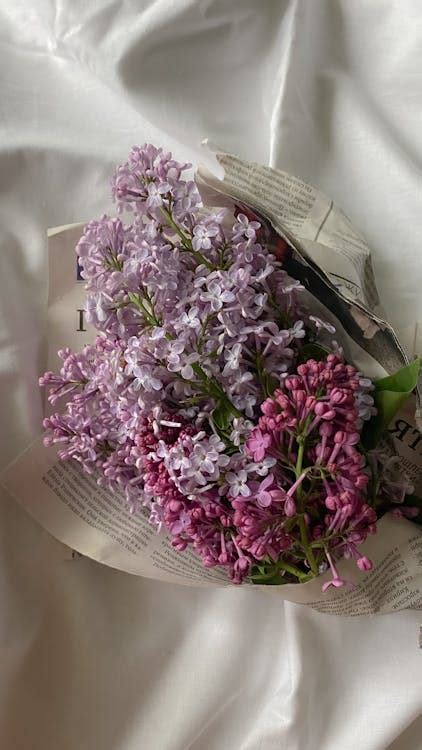 Purple Flowers on White Paper · Free Stock Photo