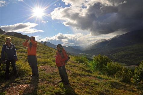 Denali National Park Walking Tour: Triphobo