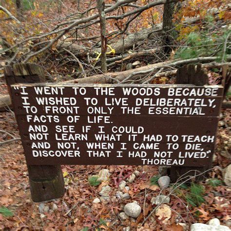 Walden Pond Thoreau Quotes. QuotesGram