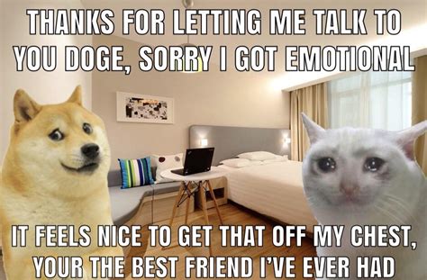 doge cares about sad cat | Ironic Doge Memes | Know Your Meme