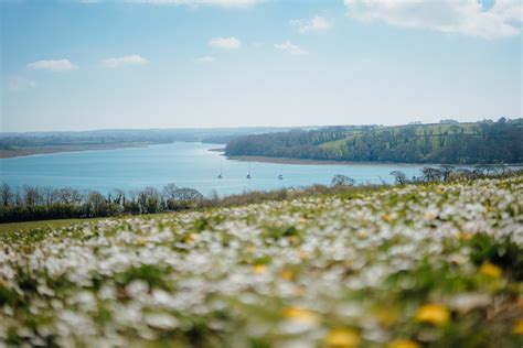 Lazy Lawrenny Afternoon West Wales Holiday Cottages