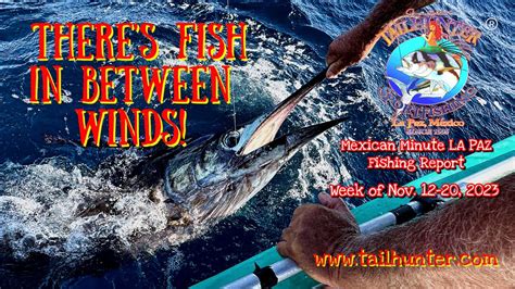 Mexican Minute La Paz Fishing Report From Tailhunter Sportfishing For