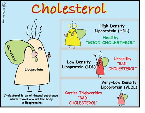 cholesterol – Fuzzy Synapse