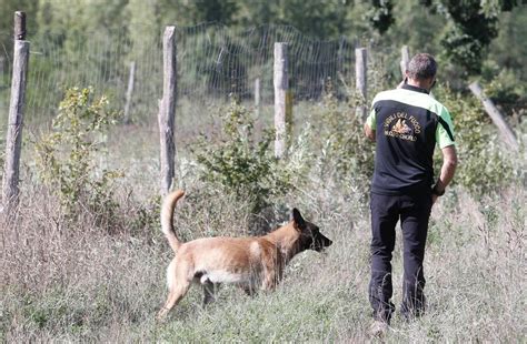 Disperso A Brenna Ritrovato Dopo Un Giorno Di Ricerche