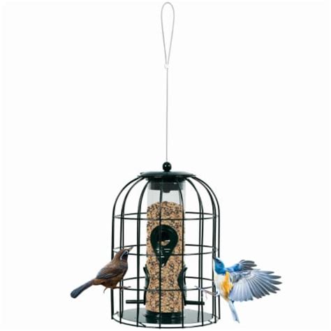 Squirrel-proof Caged Tube Wild Bird Feeder Outdoor Metal Seed Guard ...