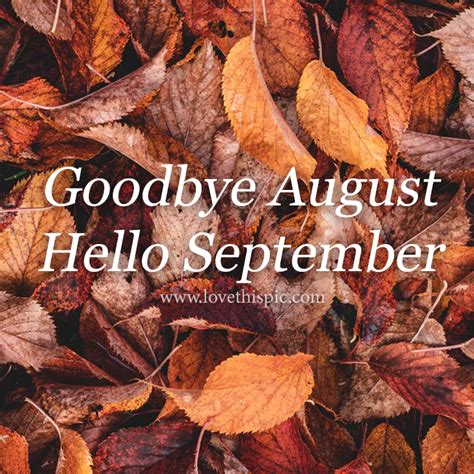 Orange Brown Leaves Goodbye August Hello September Pictures