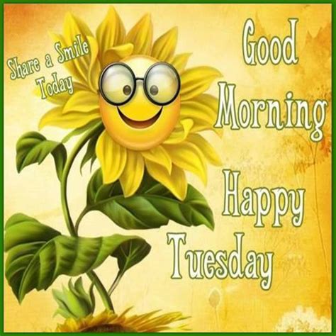 Good Morning Happy Tuesday Have A Smile Day Happy Tuesday Images