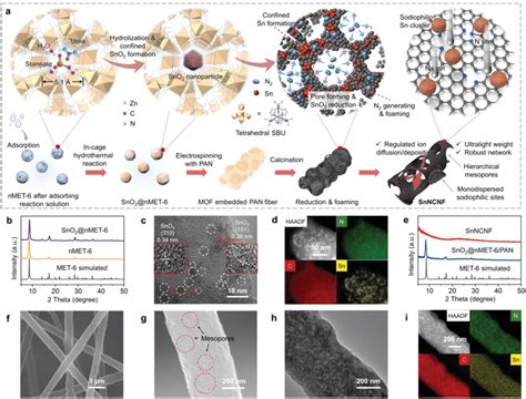 Synthetic Strategy And Structural Characterizations Of Snncnf A