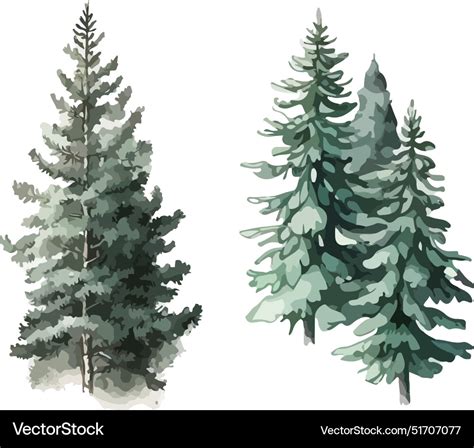 Fir tree clipart isolated Royalty Free Vector Image