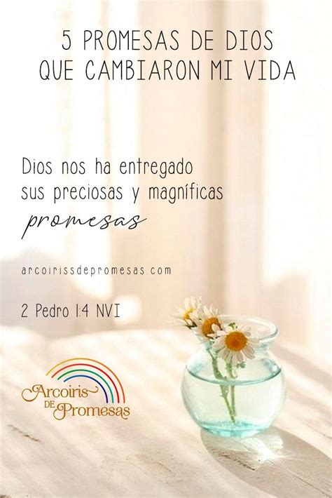 5 Promesas De Dios Que Cambiaron Mi Vida Promesas De Dios Dios Promesa