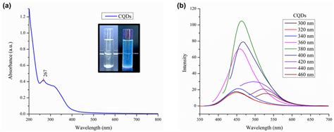 Optical Properties Of Synthesized Cqds A Uvvisible Absorption