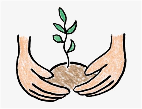 Growing Tree Clipart