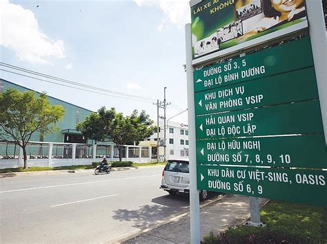 singaporean investment set  rise