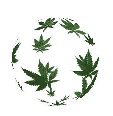 Animated Hemp Marijuana Gif - Download hd wallpapers