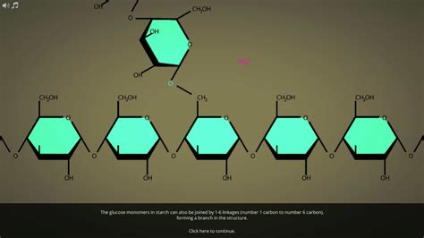 Virtual Lab Introduction To Food Macromolecules Virtual Lab Labster